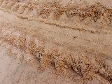 Foto: Oman: the Native Shore of Turtles
